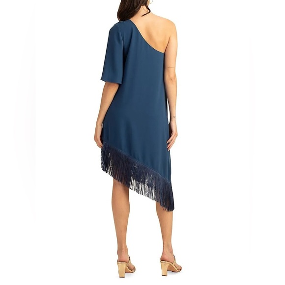 Trina Turk Gull One-Shoulder Asymmetric Fringed Dress in Denim, Size S New w/Tag - Picture 4 of 13